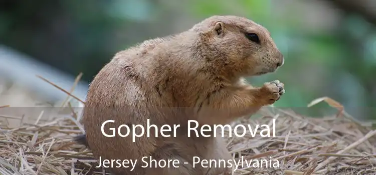 Gopher Removal Jersey Shore - Pennsylvania
