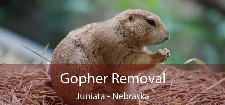 Gopher Removal Juniata - Nebraska