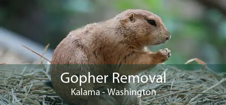 Gopher Removal Kalama - Washington