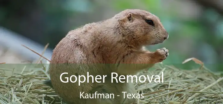 Gopher Removal Kaufman - Texas