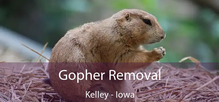 Gopher Removal Kelley - Iowa