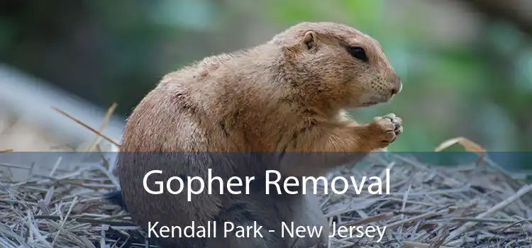 Gopher Removal Kendall Park - New Jersey