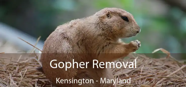 Gopher Removal Kensington - Maryland