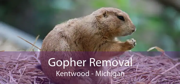 Gopher Removal Kentwood - Michigan