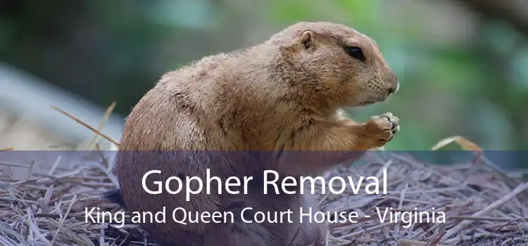 Gopher Removal King and Queen Court House - Virginia