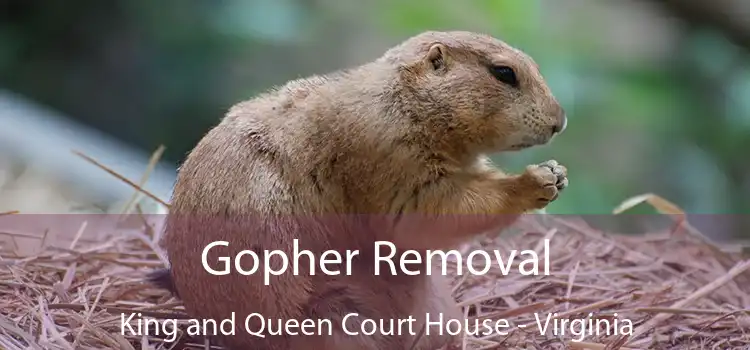 Gopher Removal King and Queen Court House - Virginia