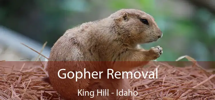 Gopher Removal King Hill - Idaho