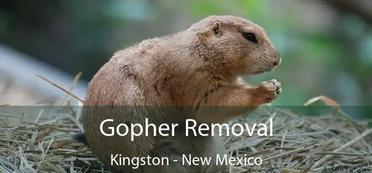 Gopher Removal Kingston - New Mexico