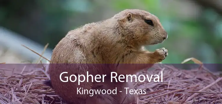 Gopher Removal Kingwood - Texas