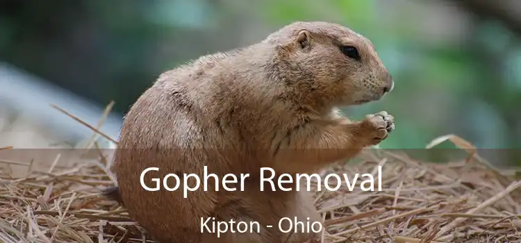 Gopher Removal Kipton - Ohio