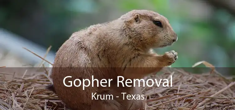 Gopher Removal Krum - Texas