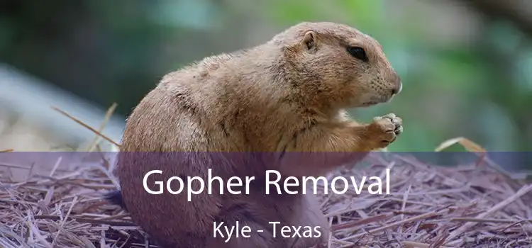 Gopher Removal Kyle - Texas