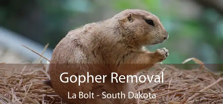 Gopher Removal La Bolt - South Dakota