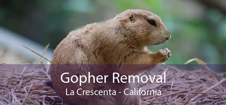 Gopher Removal La Crescenta - California