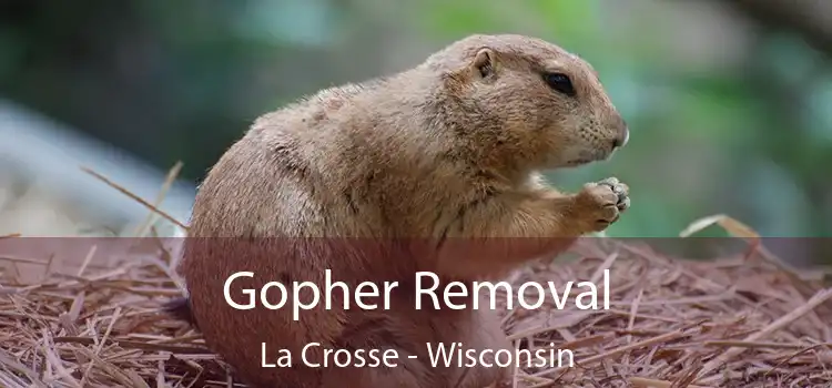 Gopher Removal La Crosse - Wisconsin