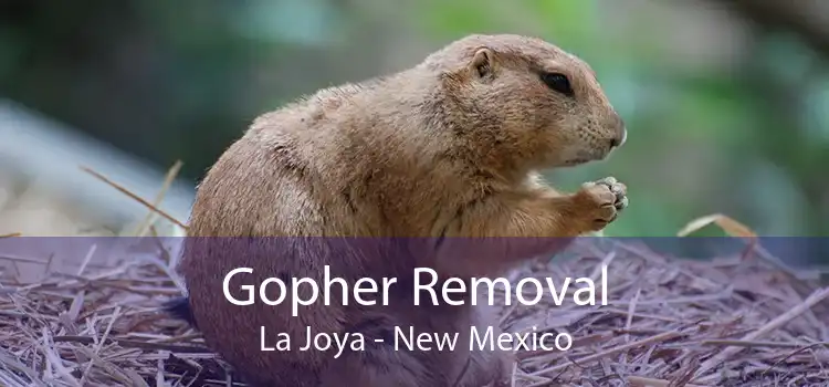 Gopher Removal La Joya - New Mexico