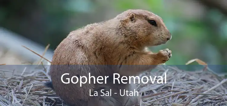 Gopher Removal La Sal - Utah