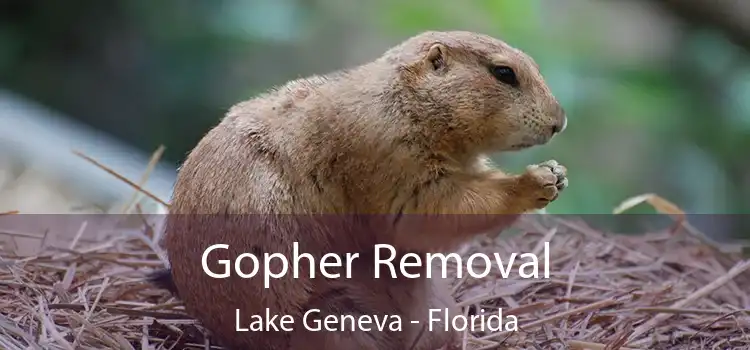 Gopher Removal Lake Geneva - Florida