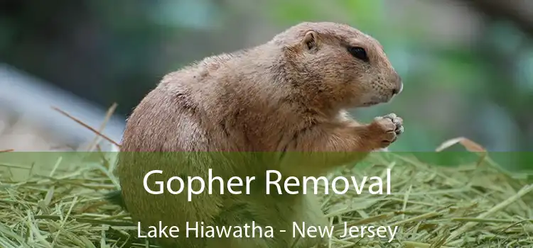 Gopher Removal Lake Hiawatha - New Jersey