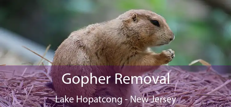 Gopher Removal Lake Hopatcong - New Jersey