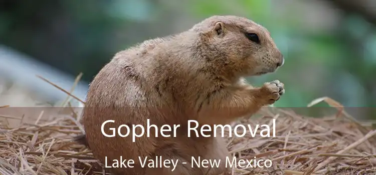 Gopher Removal Lake Valley - New Mexico