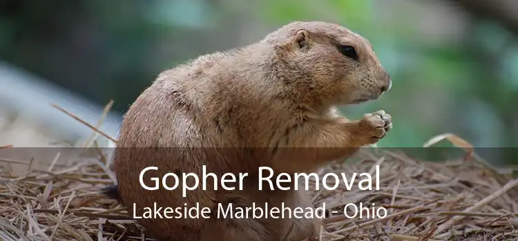Gopher Removal Lakeside Marblehead - Ohio