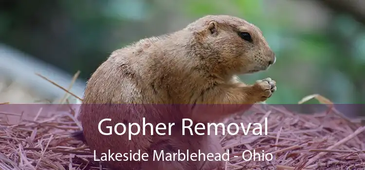 Gopher Removal Lakeside Marblehead - Ohio