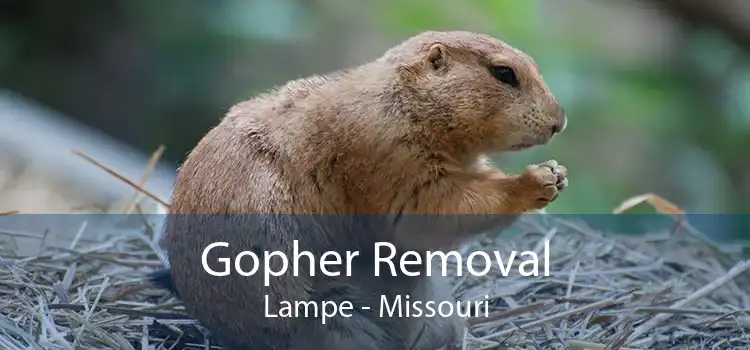 Gopher Removal Lampe - Missouri
