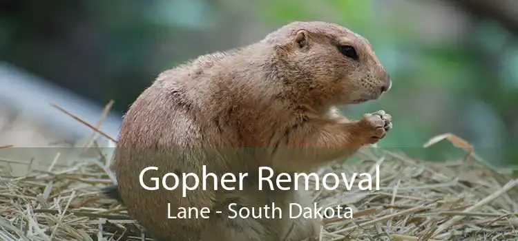 Gopher Removal Lane - South Dakota