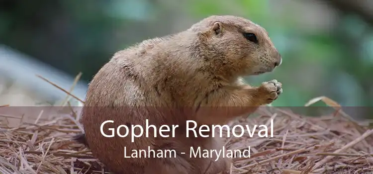Gopher Removal Lanham - Maryland