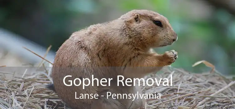 Gopher Removal Lanse - Pennsylvania
