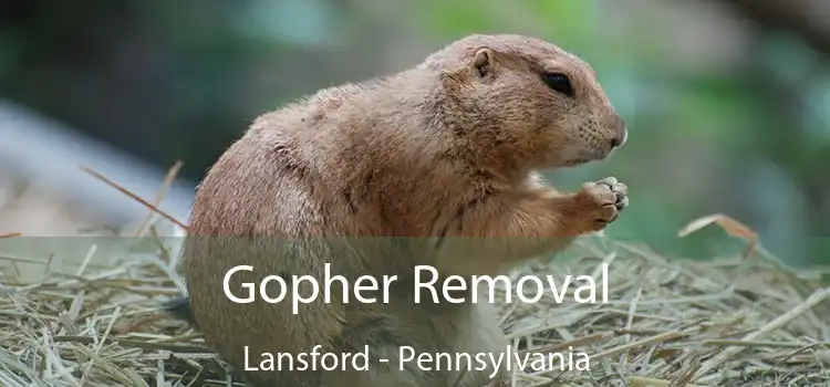 Gopher Removal Lansford - Pennsylvania