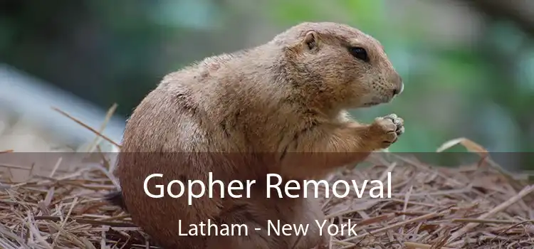 Gopher Removal Latham - New York