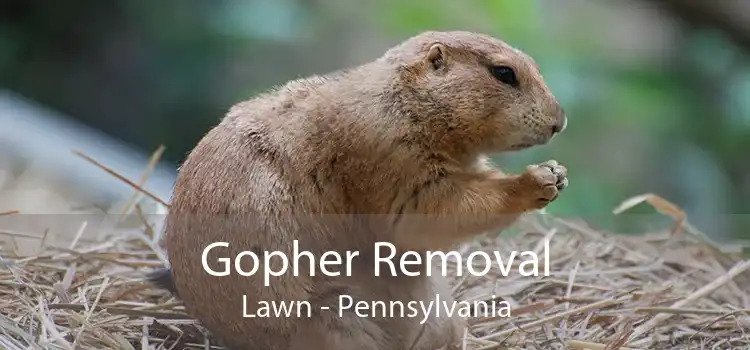 Gopher Removal Lawn - Pennsylvania