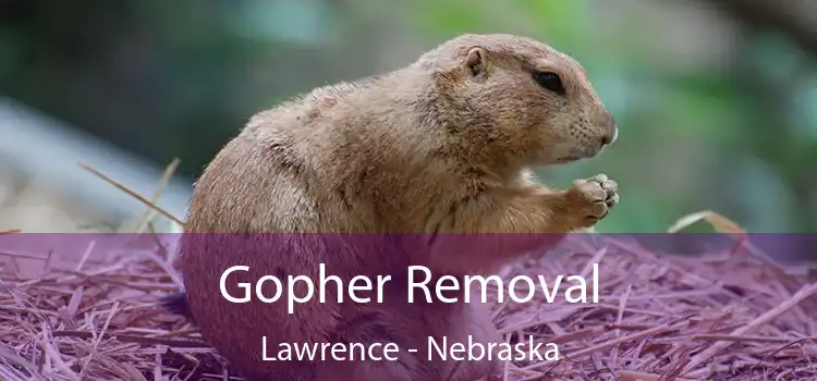 Gopher Removal Lawrence - Nebraska