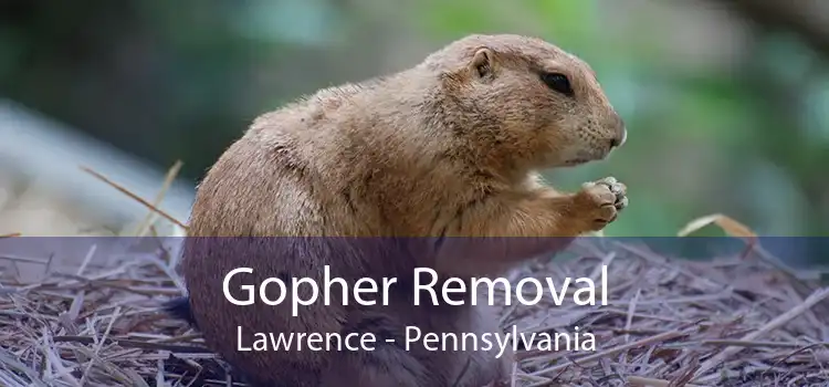 Gopher Removal Lawrence - Pennsylvania