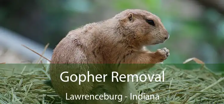 Gopher Removal Lawrenceburg - Indiana