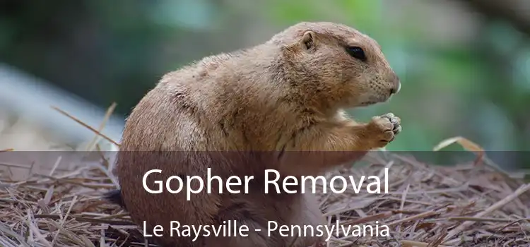 Gopher Removal Le Raysville - Pennsylvania