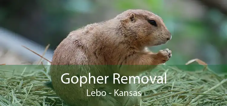 Gopher Removal Lebo - Kansas