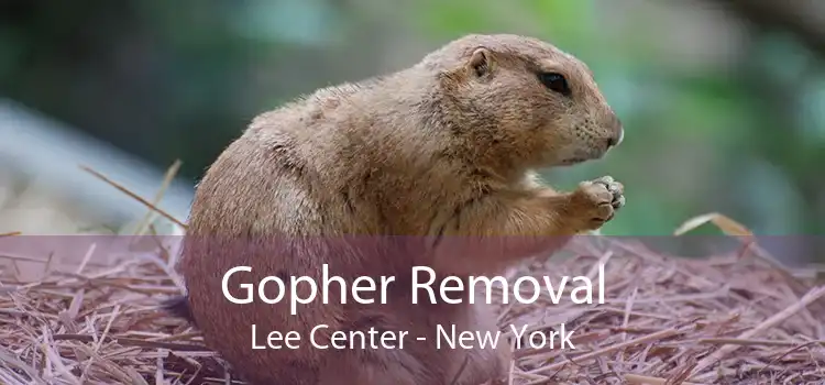 Gopher Removal Lee Center - New York