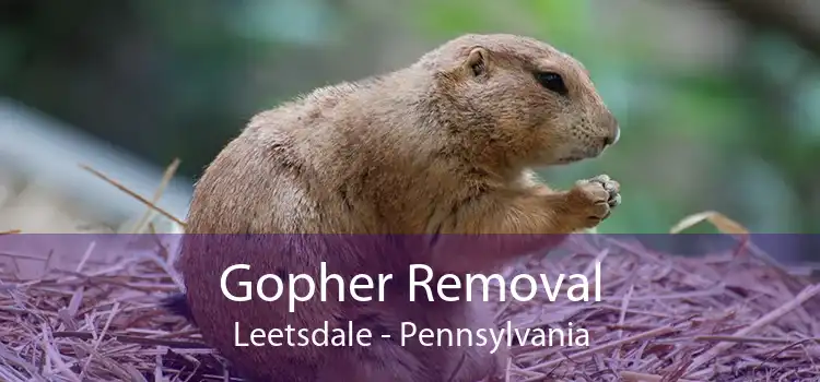 Gopher Removal Leetsdale - Pennsylvania