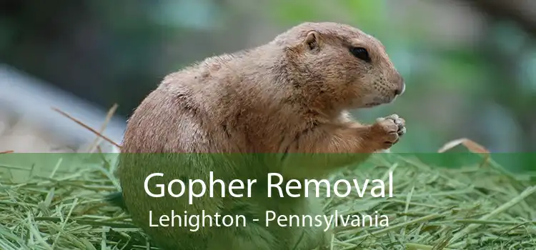 Gopher Removal Lehighton - Pennsylvania