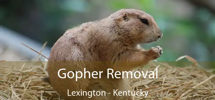 Gopher Removal Lexington - Kentucky