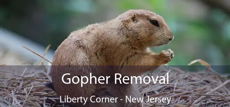 Gopher Removal Liberty Corner - New Jersey