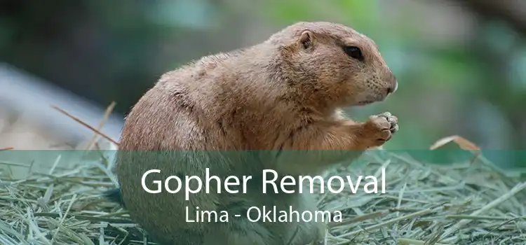 Gopher Removal Lima - Oklahoma