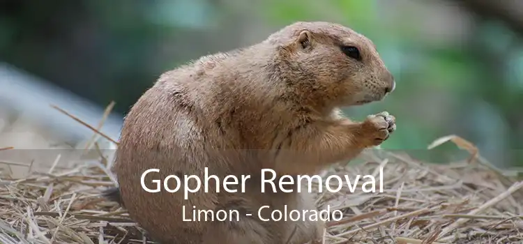 Gopher Removal Limon - Colorado
