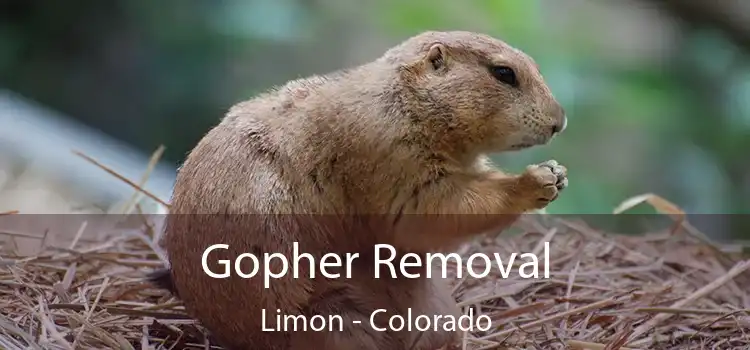 Gopher Removal Limon - Colorado