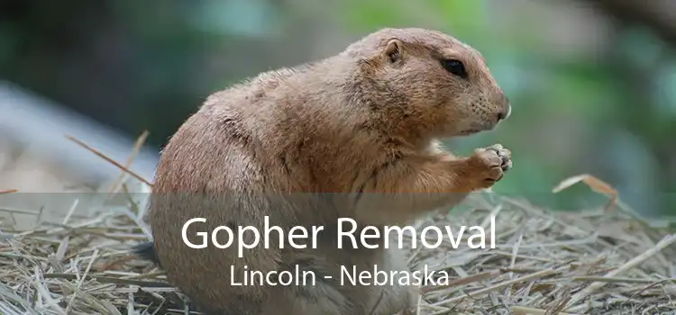 Gopher Removal Lincoln - Nebraska