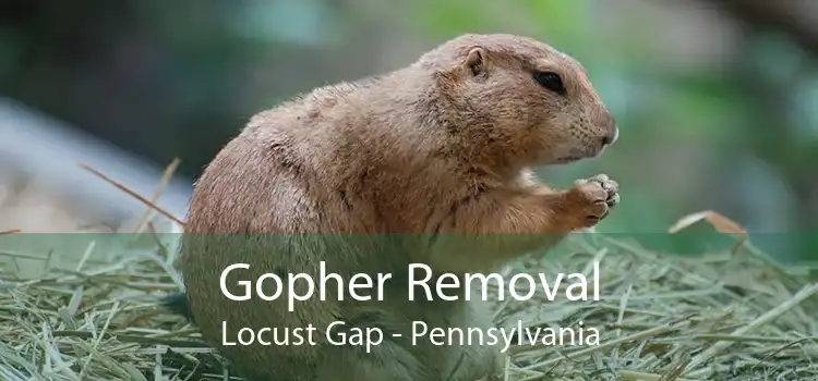 Gopher Removal Locust Gap - Pennsylvania