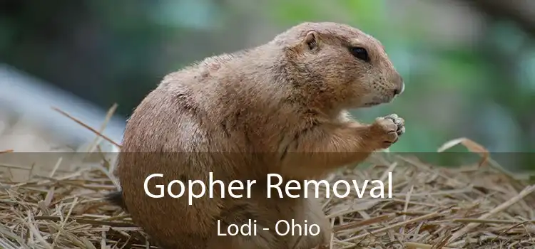 Gopher Removal Lodi - Ohio